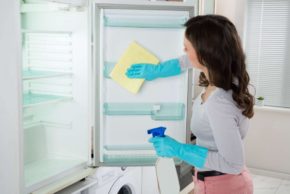 limpieza y orden del refrigerador